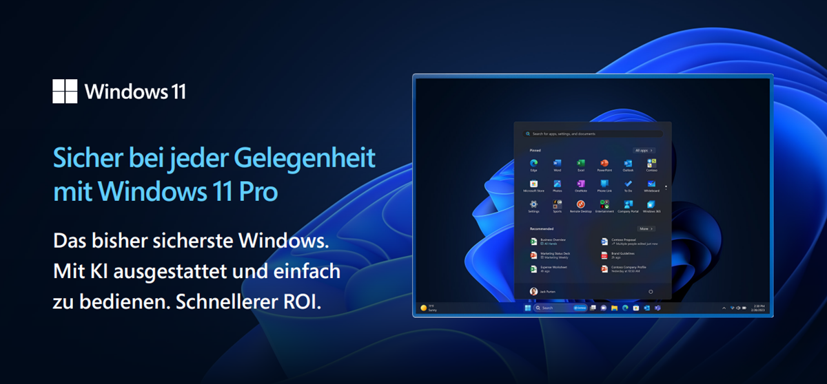 Windows 11